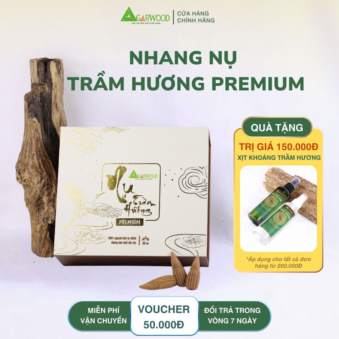 170 Nhang nụ trầm hương TTT cao cấp