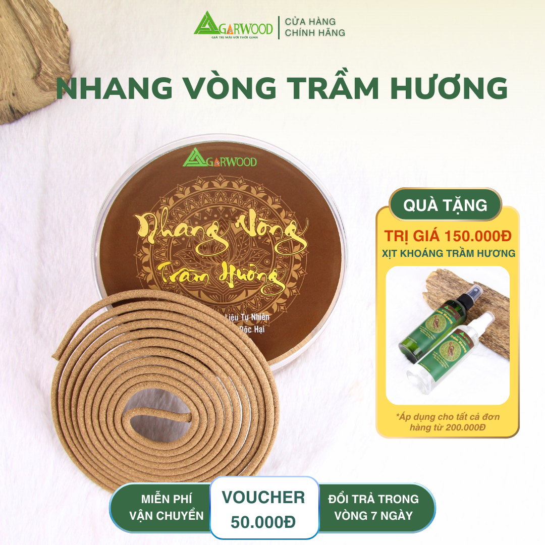 231 Nhang vòng trầm hương TTT phổ thông